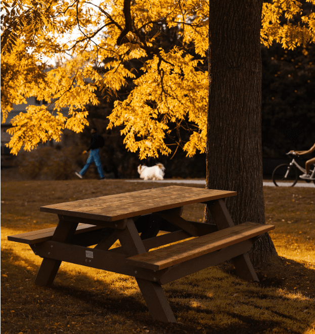 Creating a Picnic Area at Your Community Park